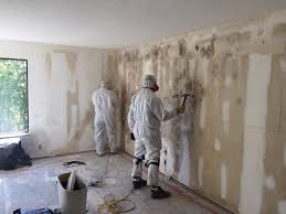 Best Biohazard Mold Removal  in Yerington, NV